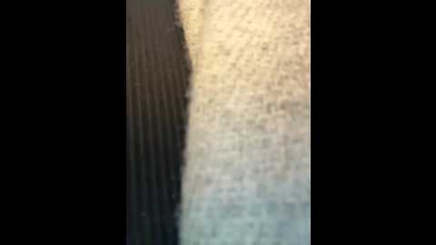 dollytall @ stripchat on 20251002