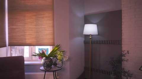 felogsdon @ stripchat on 20251002