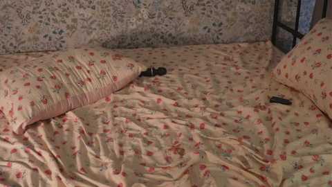 idajonesy @ stripchat on 20251002