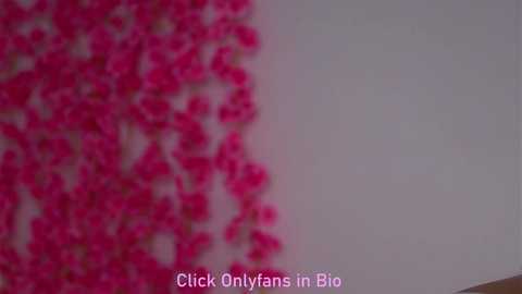 karinbates @ stripchat on 20251002