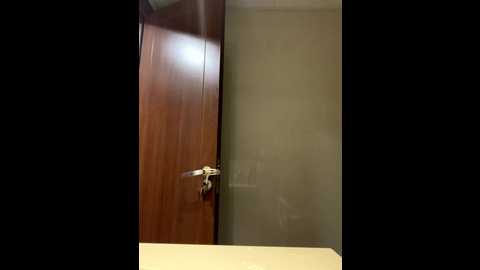 lisaneverdie @ stripchat on 20251002