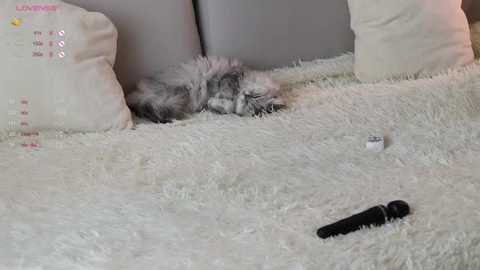 pretty_princess_elina @ stripchat on 20251002