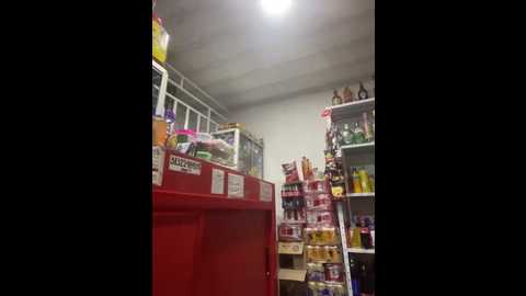 sara_fun @ stripchat on 20251002