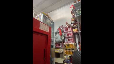 sara_fun @ stripchat on 20251002