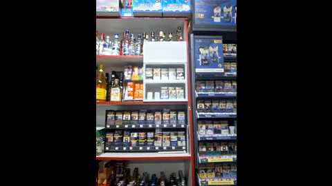 fluturas2 @ stripchat on 20251003