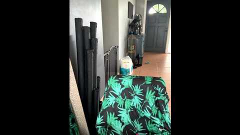 lovely_beast @ stripchat on 20251003