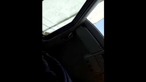 milf_love_fist99 @ stripchat on 20251003