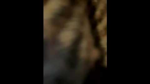 vendimur @ stripchat on 20251003