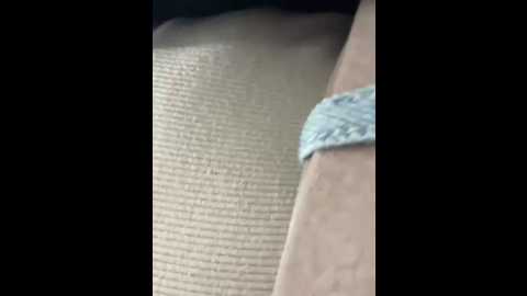 _angelari_ @ stripchat on 20251004