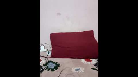 nice_touch9733 @ stripchat on 20251004