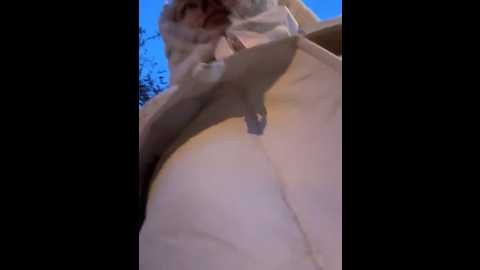 ronniekiss @ stripchat on 20251004