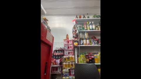 sara_fun @ stripchat on 20251004