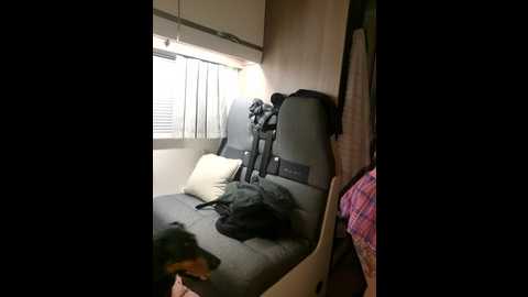 vanlifevixen @ stripchat on 20251004