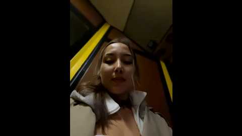 velvetvixeni @ stripchat on 20251004