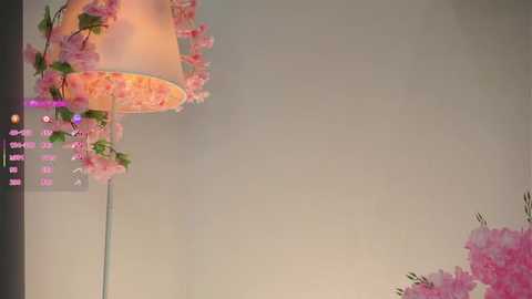 amilewis @ stripchat on 20251005