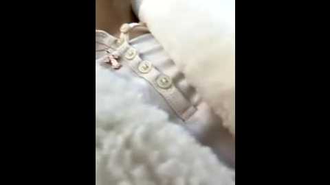 angelinateller @ stripchat on 20251005