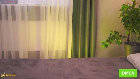 bellacle @ stripchat on 20251005