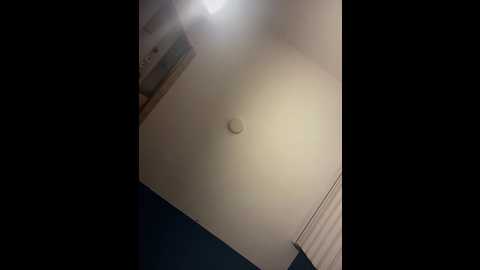 blackcat__ @ stripchat on 20251005