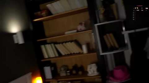 darylbarks @ stripchat on 20251005