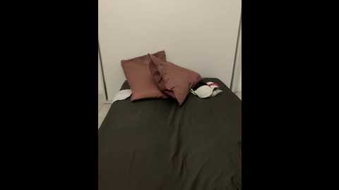 disturbia_land @ stripchat on 20251005