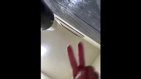 roouse @ stripchat on 20251005