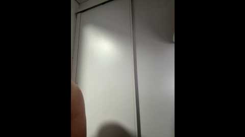 roouse @ stripchat on 20251005