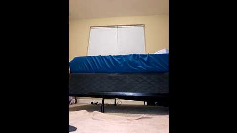 amethystfoxx @ stripchat on 20251006