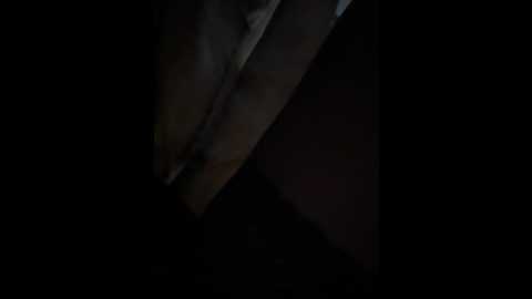 eveangelll @ stripchat on 20251006