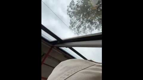 eveangelll @ stripchat on 20251006