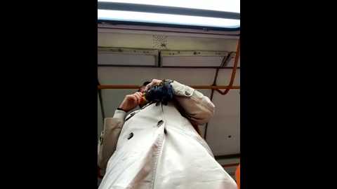 eveangelll @ stripchat on 20251006