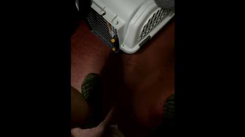 ketadeksa @ stripchat on 20251006