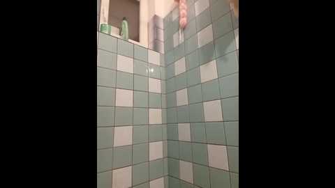 milf_love_fist99 @ stripchat on 20251006