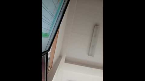 milf_love_fist99 @ stripchat on 20251006