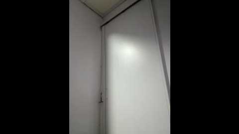 roouse @ stripchat on 20251006