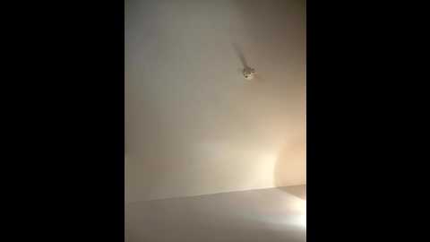 sweetali_ @ stripchat on 20251006