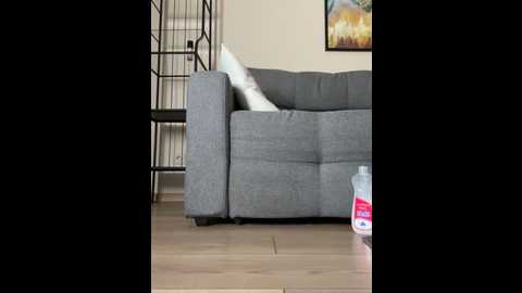 vladamais @ stripchat on 20251006