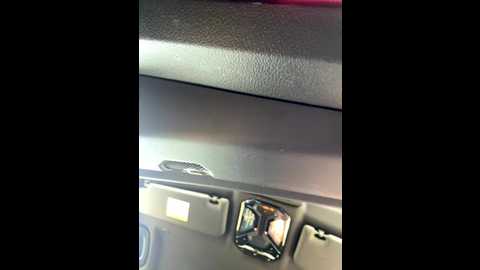 dorideluxe66 @ stripchat on 20251007