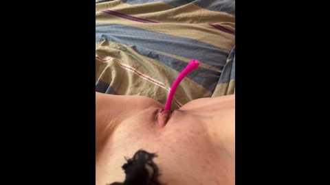 evelyn39 @ stripchat on 20251007