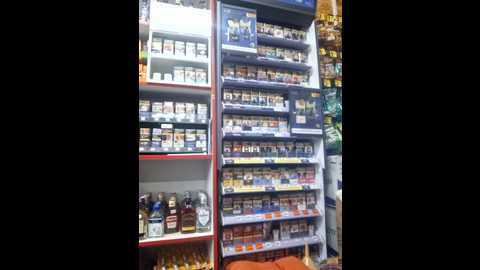 fluturas2 @ stripchat on 20251007