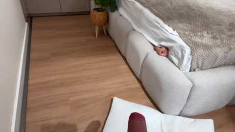 kelly_berry__ @ stripchat on 20251007