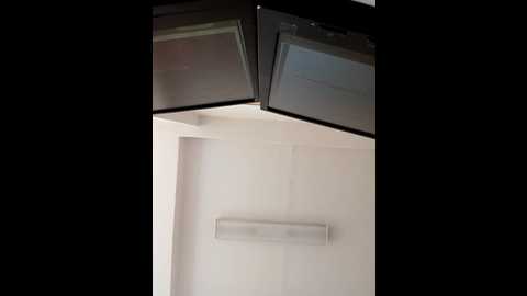 milf_love_fist99 @ stripchat on 20251007