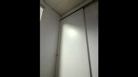 roouse @ stripchat on 20251007