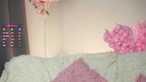 amilewis @ stripchat on 20251008