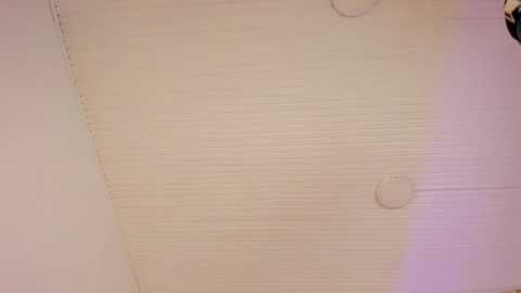 bonny_and_carrot @ stripchat on 20251008