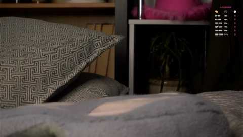 darylbarks @ stripchat on 20251008