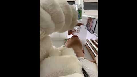 ilariea_girl @ stripchat on 20251008