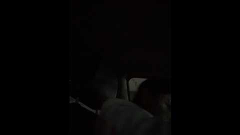 jiajia_l @ stripchat on 20251008