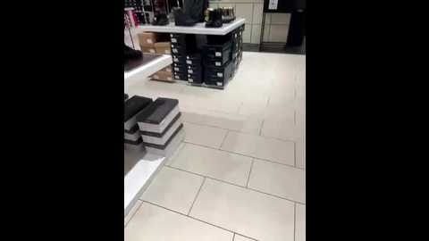 natakitten @ stripchat on 20251008