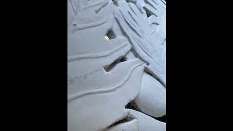 oh_nina @ stripchat on 20251008