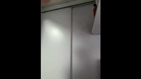 roouse @ stripchat on 20251008